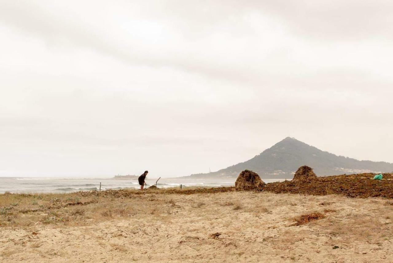 Beach-Surf House موليدو المظهر الخارجي الصورة